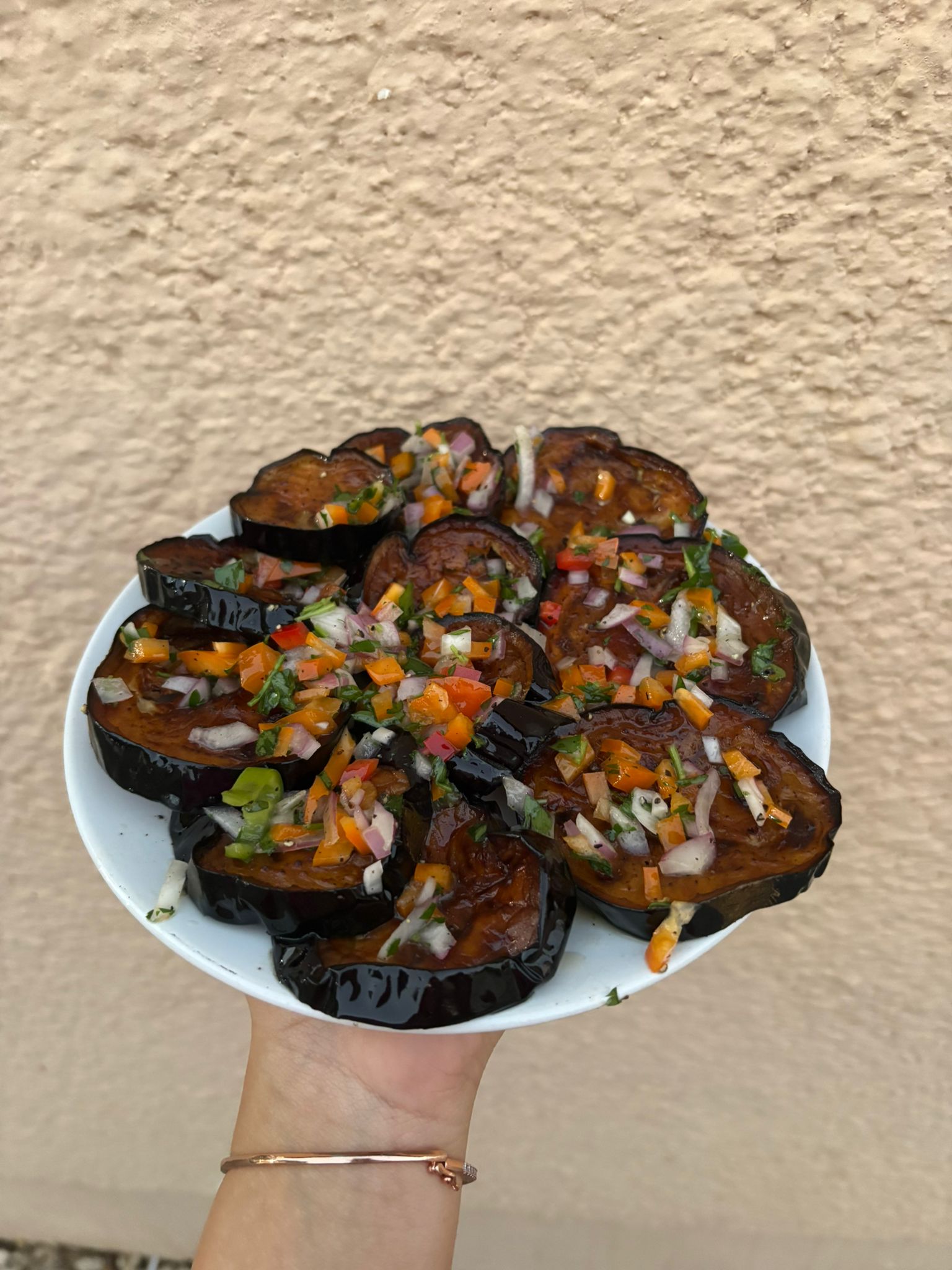 תצוגת מנה 13