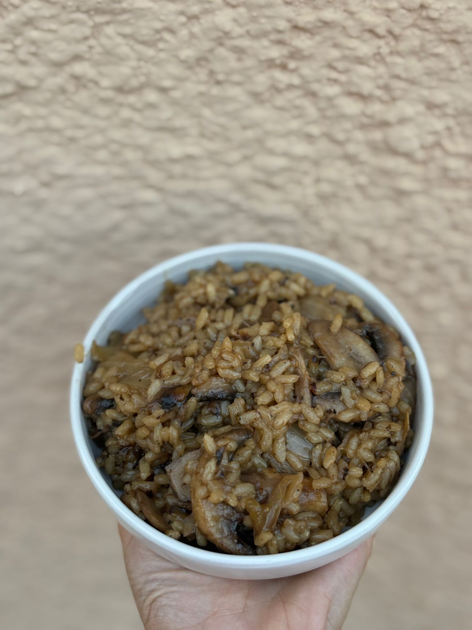 תצוגת מנה 22